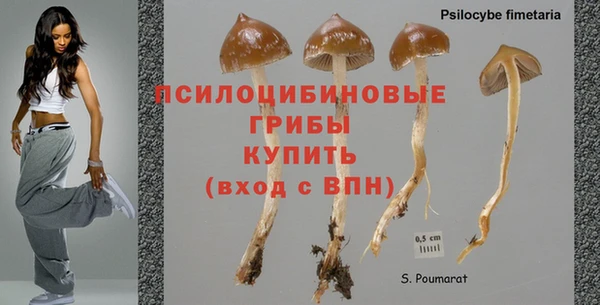 соль ск Алзамай