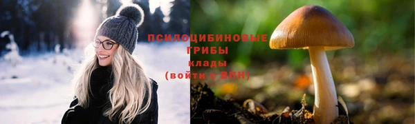 соль ск Алзамай